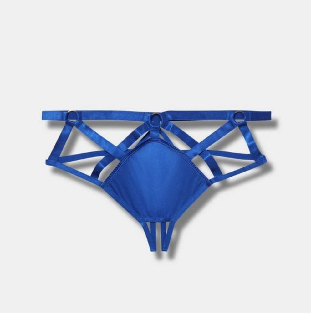 SOLD NEW Matching Set Torrid Curve Lingerie Open Cup Harness Bra & Panty Caged - Picture 3 of 8